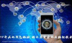 : 探析TP开头的钱包地址：揭示其背后的区块链技
