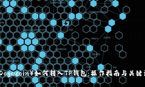 狗狗币（Dogecoin）如何转入TP钱包：操作指南与关键注意事项