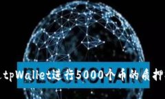 如何通过tpWallet进行5000个币的质押操作攻略