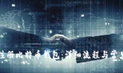 如何轻松注册比特币钱包：详细流程与常见问题