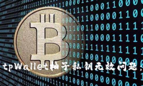 如何解决tpWallet柚子私钥无效问题：详细指南