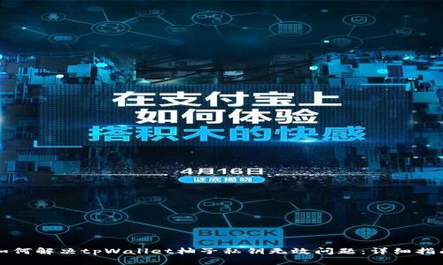 如何解决tpWallet柚子私钥无效问题：详细指南