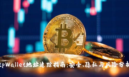 tpWallet地址追踪指南：安全、隐私与风险分析
