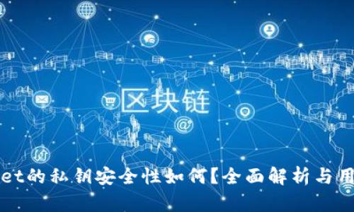 tpWallet的私钥安全性如何？全面解析与用户指南