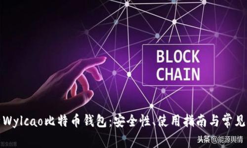 全面解析Wylcao比特币钱包：安全性、使用指南与常见问题解答