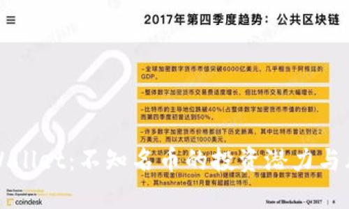 探秘tpWallet：不知名币的投资潜力与风险分析