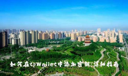 如何在tpWallet中添加密钥：详细指南