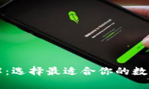 比特币类型详解：选择最适合你的数字资产存储方式