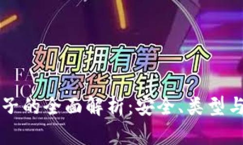 比特币电子的全面解析：安全、类型与使用指南