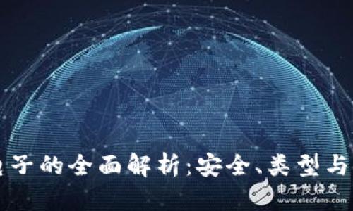 比特币电子的全面解析：安全、类型与使用指南