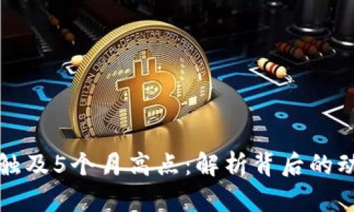 : 比特币活动触及5个月高点：解析背后的动因与市场展望