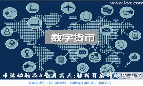 : 比特币活动触及5个月高点：解析背后的动因与市场展望
