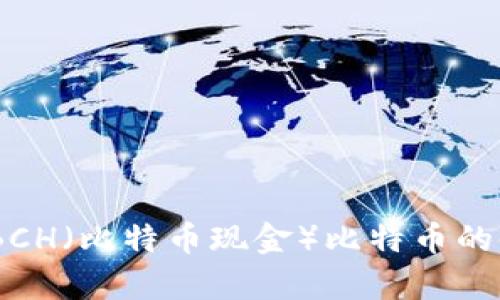 全面解析：BCH（比特币现金）比特币的使用与选择