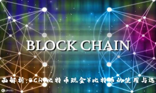 全面解析：BCH（比特币现金）比特币的使用与选择