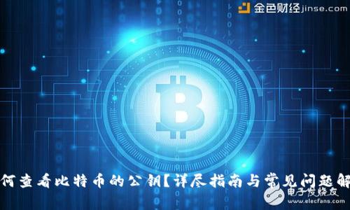 如何查看比特币的公钥？详尽指南与常见问题解答
