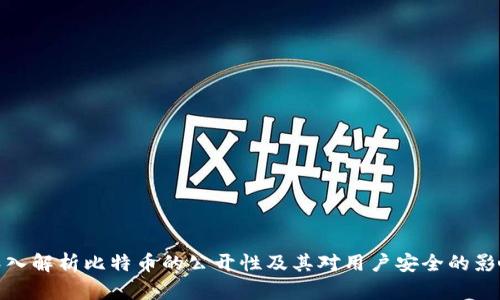 深入解析比特币的公开性及其对用户安全的影响